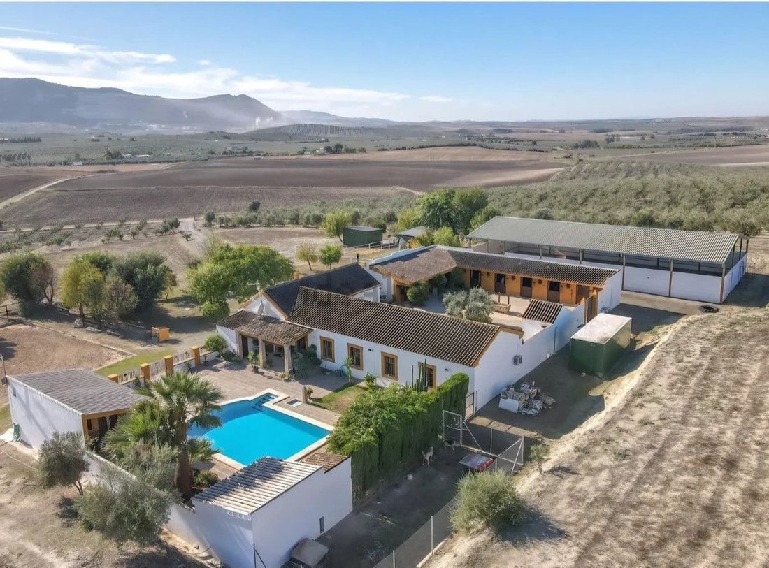 Villa à Nervion, Séville, Espagne 2 - 18867463