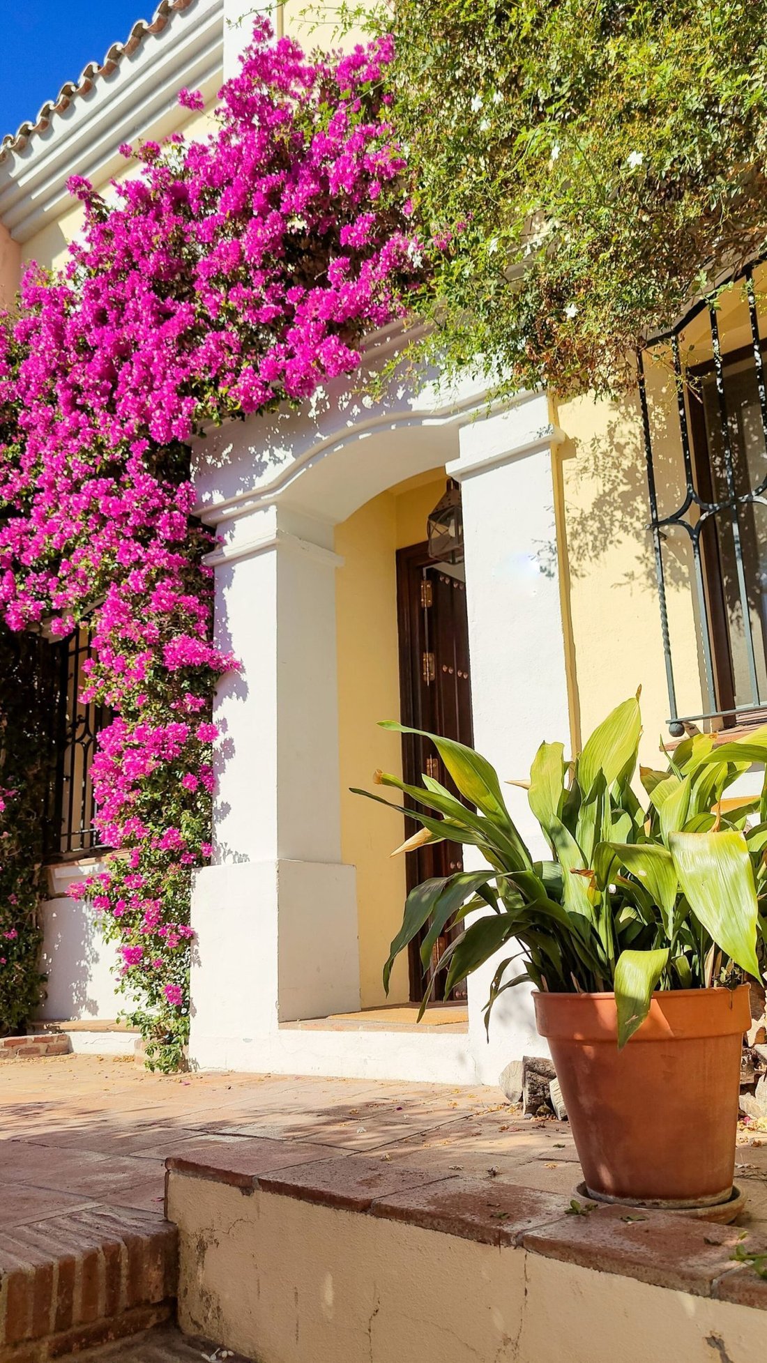 Townhouse in Guadalmina Alta, San Pedro de Alcantara, Spain 2 - 18864028