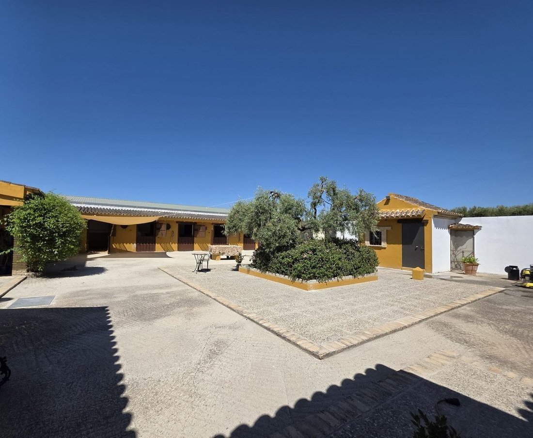 Villa à Nervion, Séville, Espagne 4 - 18867463