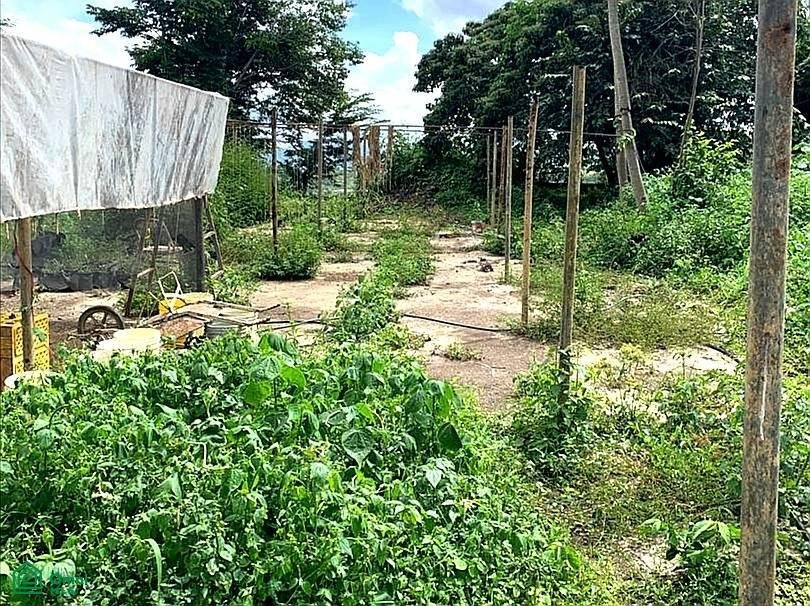 Land in El Hatillo, Miranda, Venezuela 5 - 18865066