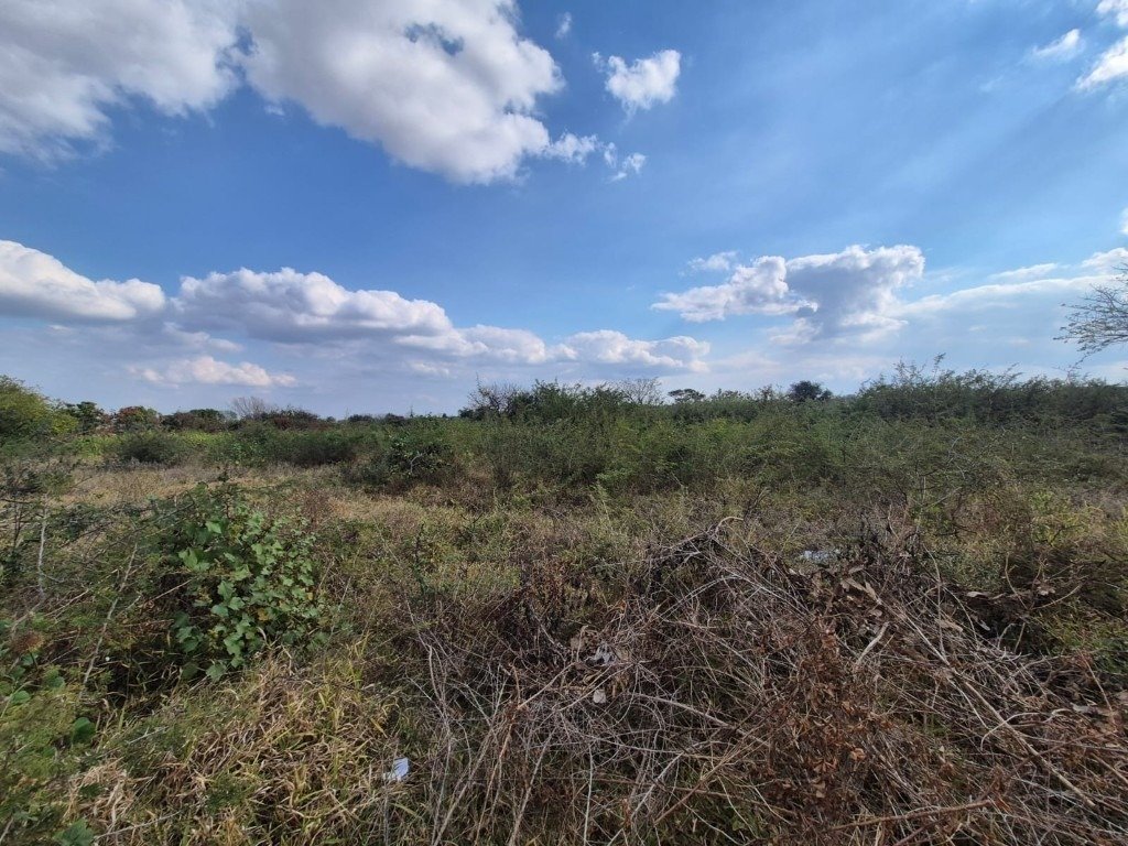 Land in Phalaborwa, Limpopo, South Africa 5 - 18864475
