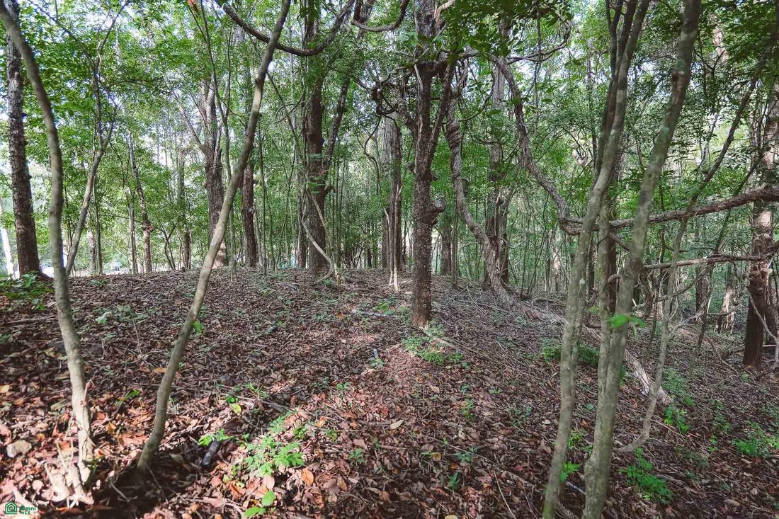 Land in Cuajiniquil, Santa Cruz, Costa Rica 1 - 18459481