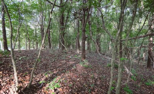 Terreno in Cuajiniquil, Santa Cruz, Costa Rica 1