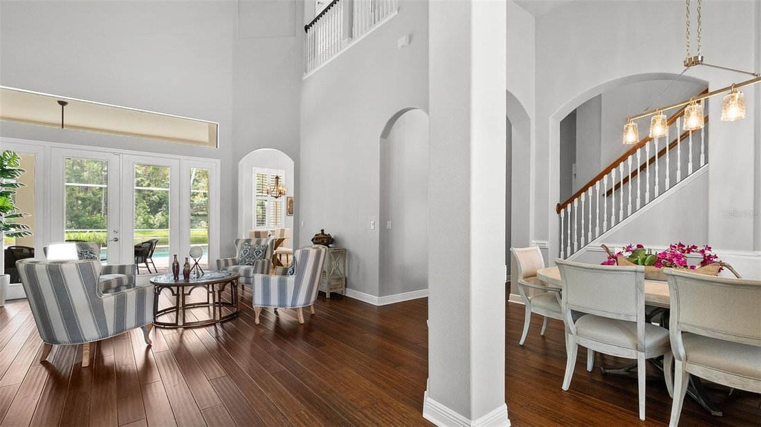 House in Tampa, Florida, United States 3 - 18866280