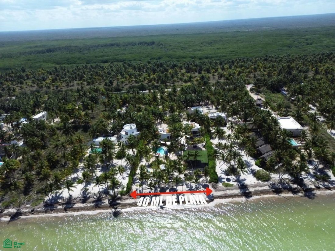 Land in Telchac Puerto, Yucatan, Mexico 3 - 17814526