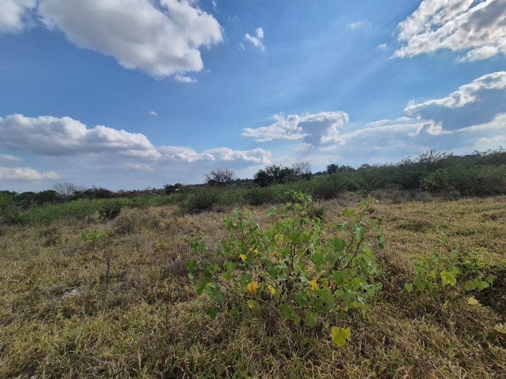 Land in Phalaborwa, Limpopo, South Africa 3 - 18864475