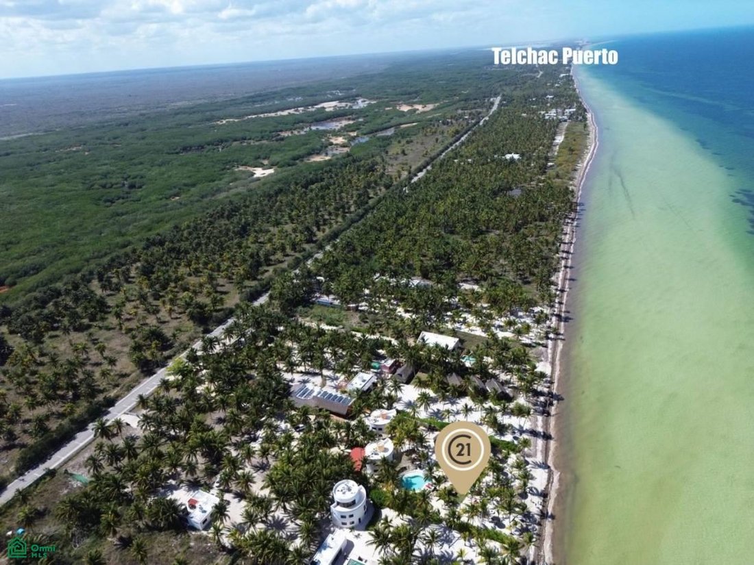 Land in Telchac Puerto, Yucatan, Mexico 4 - 17814526