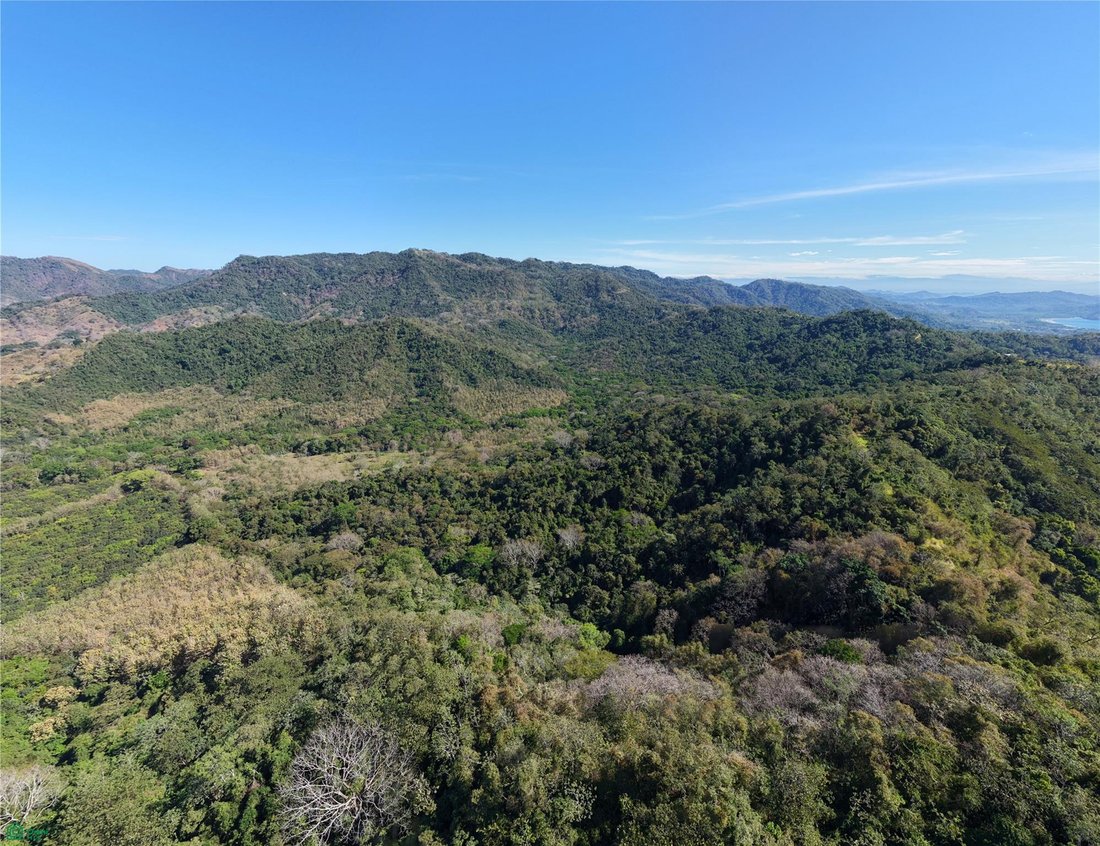 Land in Esperanza, Puntarenas Province, Costa Rica 1 - 17810865