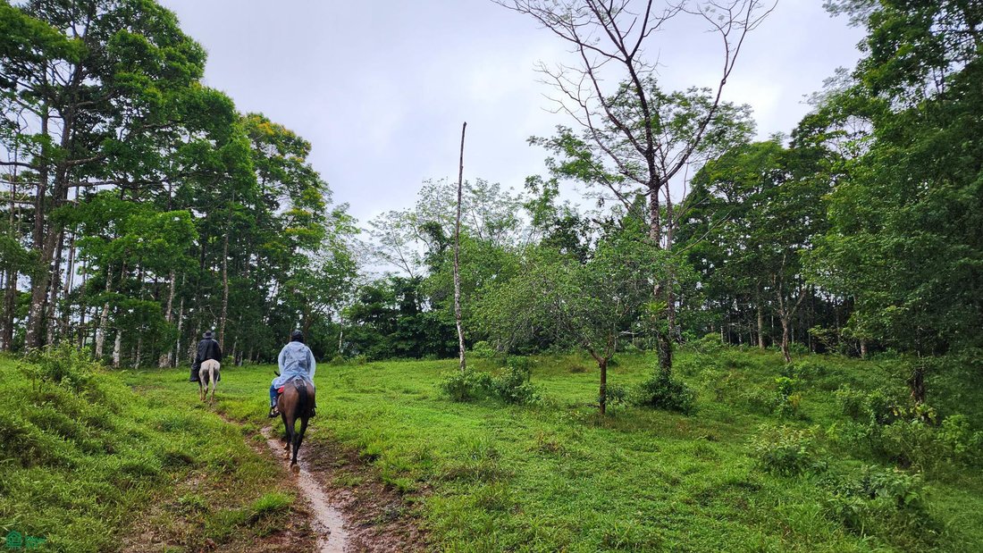 Land in Katira, Guatuso, Costa Rica 4 - 17851260