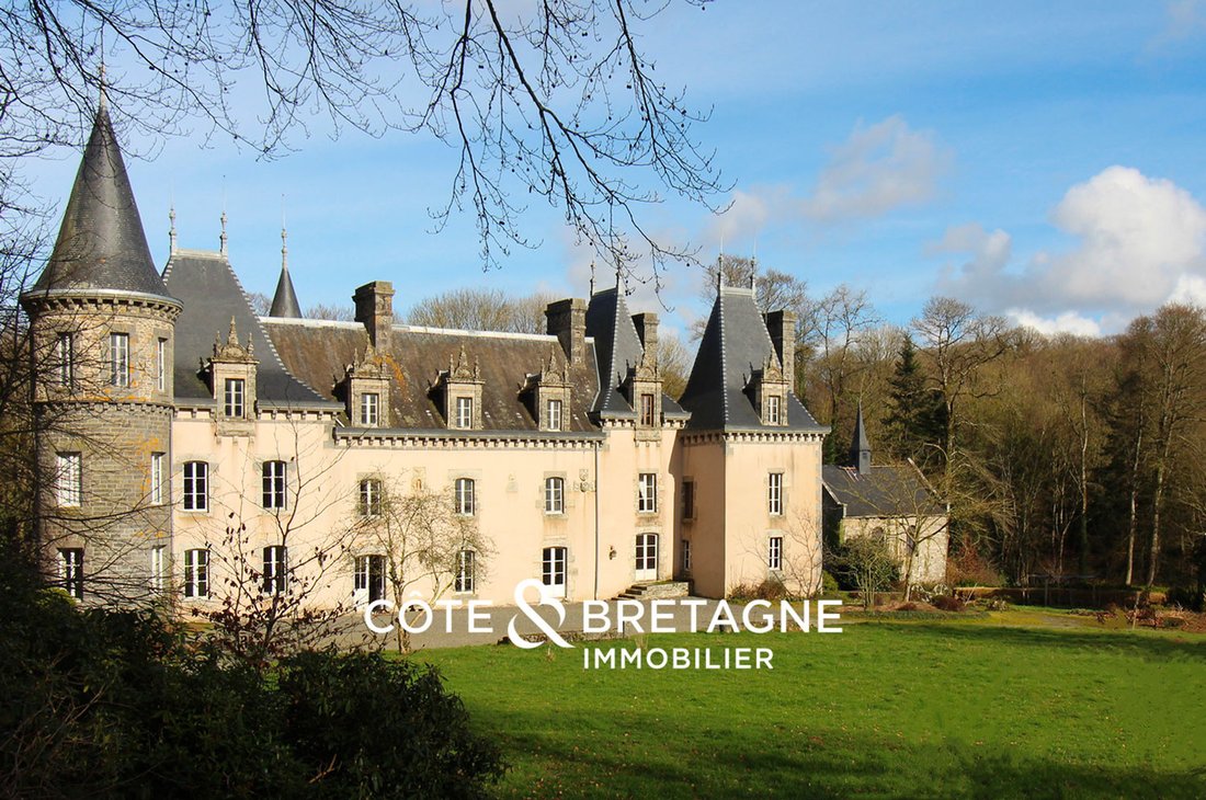 Castle in Merdrignac, Brittany, France 3 - 18867137