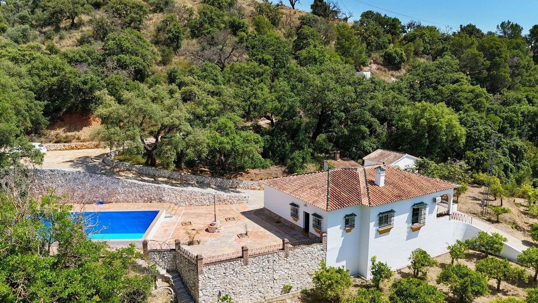 Villa a Alhaurín el Grande, Andalusia, Spagna 1 - 18868106