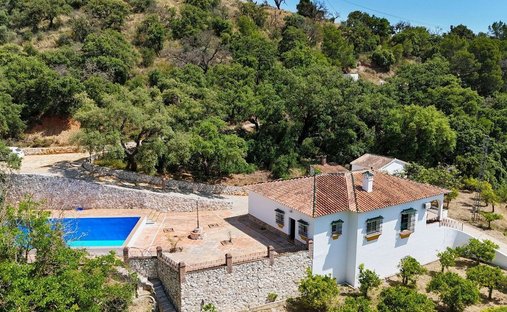 Villa en Alhaurín el Grande, Andalucía, España 1
