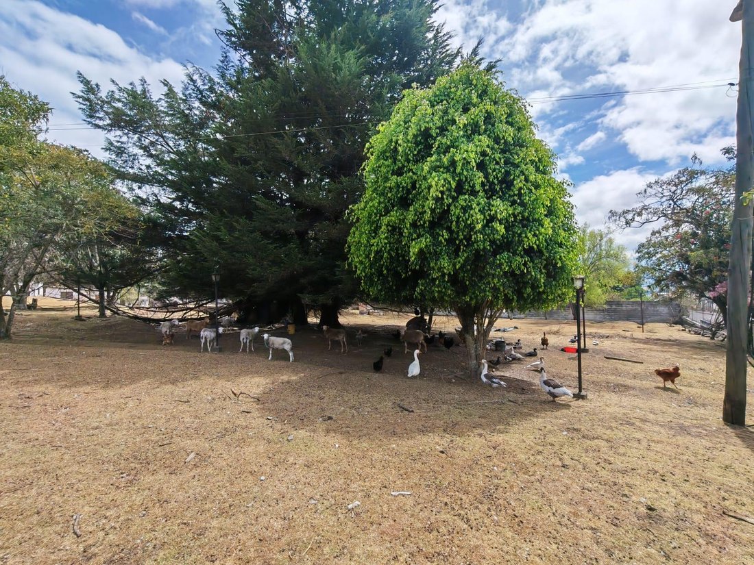 Terreno a Quito, Provincia del Pichincha, Ecuador 1 - 18866849