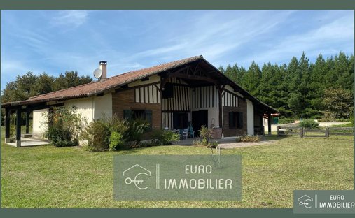House in Luxey, Nouvelle-Aquitaine, France 1