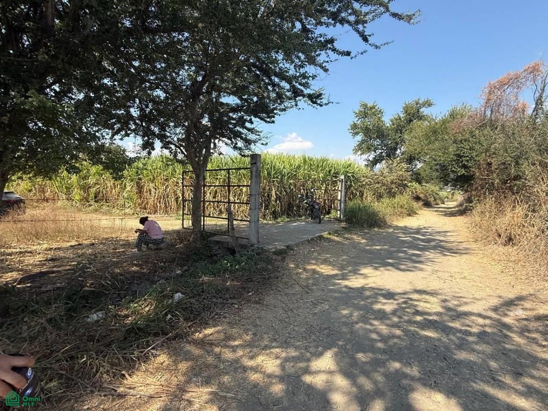 Land in El Mirador, Morelos, Mexico 3 - 17814529