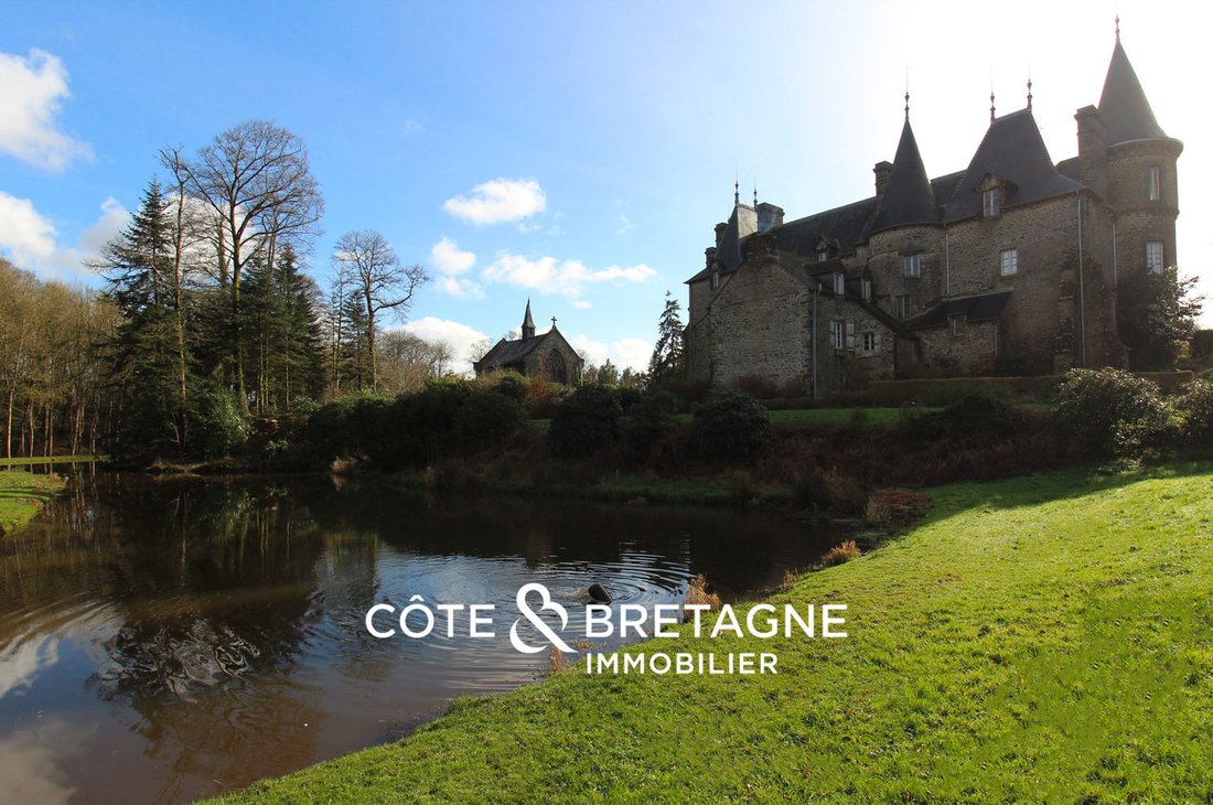 Castle in Merdrignac, Brittany, France 5 - 18867137