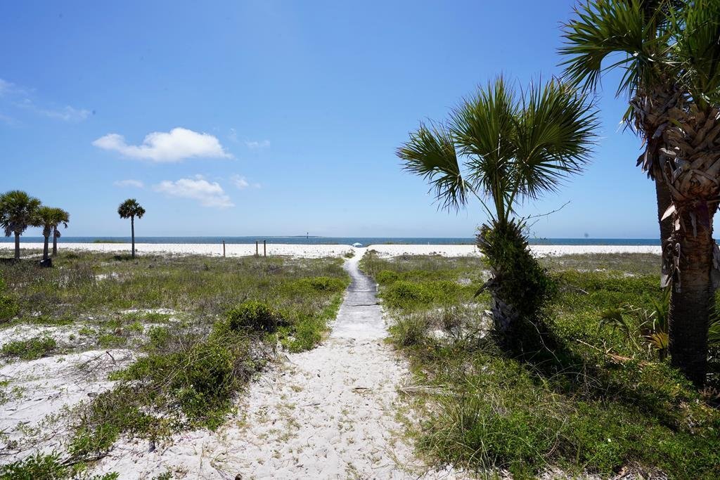 Casa a Port St. Joe, Florida, Stati Uniti 5 - 18865581