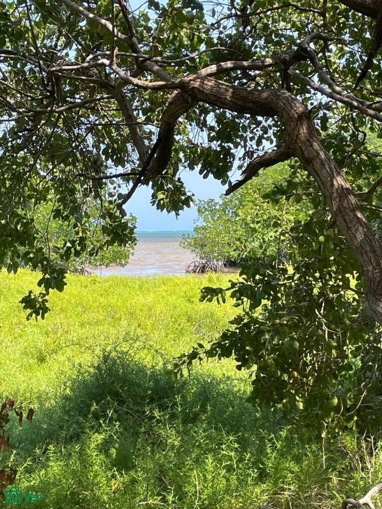 Terrain en San Pedro, Bélize, Belize 5 - 18001678