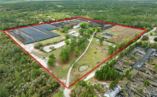 Eustis, Florida, Vereinigte Staaten 1