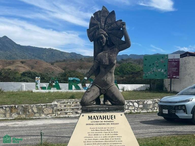 Land in Manzanillo, Colima, Mexico 4 - 17811059