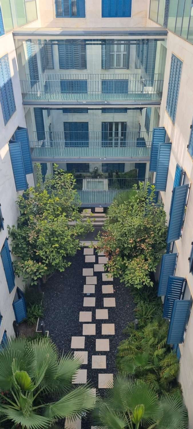 Apartamento en Centro, Malaga, España 4 - 18867097