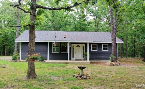House in Hartshorn, Missouri, United States 1