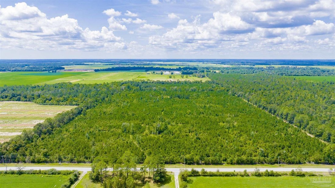 Terreno en Elberta, Alabama, Estados Unidos 4 - 18868246