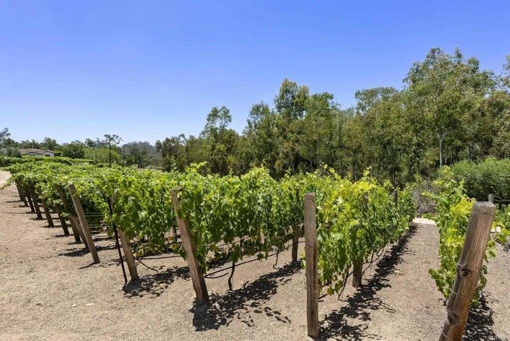 Maison à Rancho Santa Fe, Californie, États-Unis 2 - 18866618