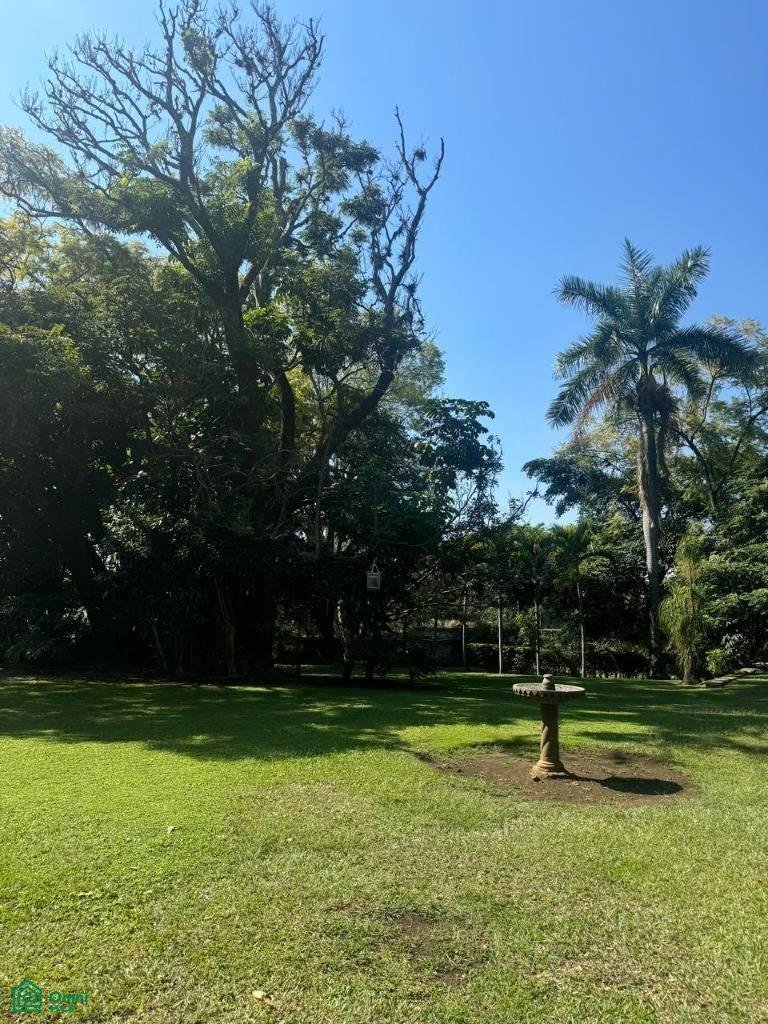 Terreno en Cuernavaca, Morelos, México 5 - 17811111
