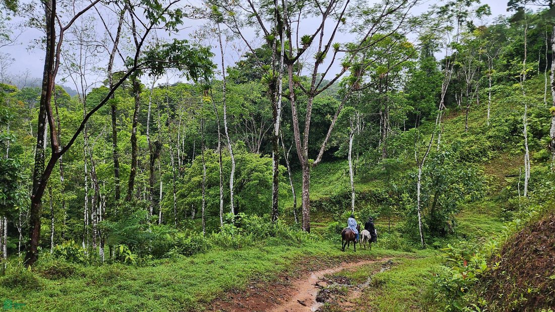 Terrain à Katira, Guatuso, Costa Rica 4 - 17851260