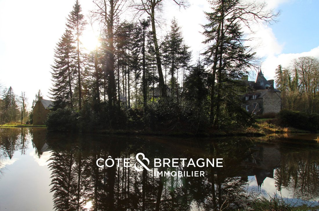Castle in Merdrignac, Brittany, France 4 - 18867137