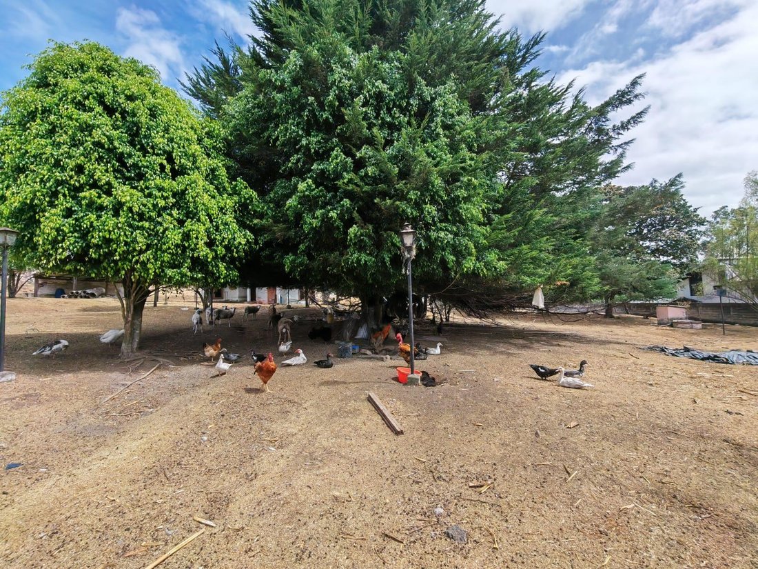 Terreno a Quito, Provincia del Pichincha, Ecuador 2 - 18866849