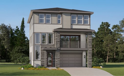 House in Aurora, Colorado, United States 1