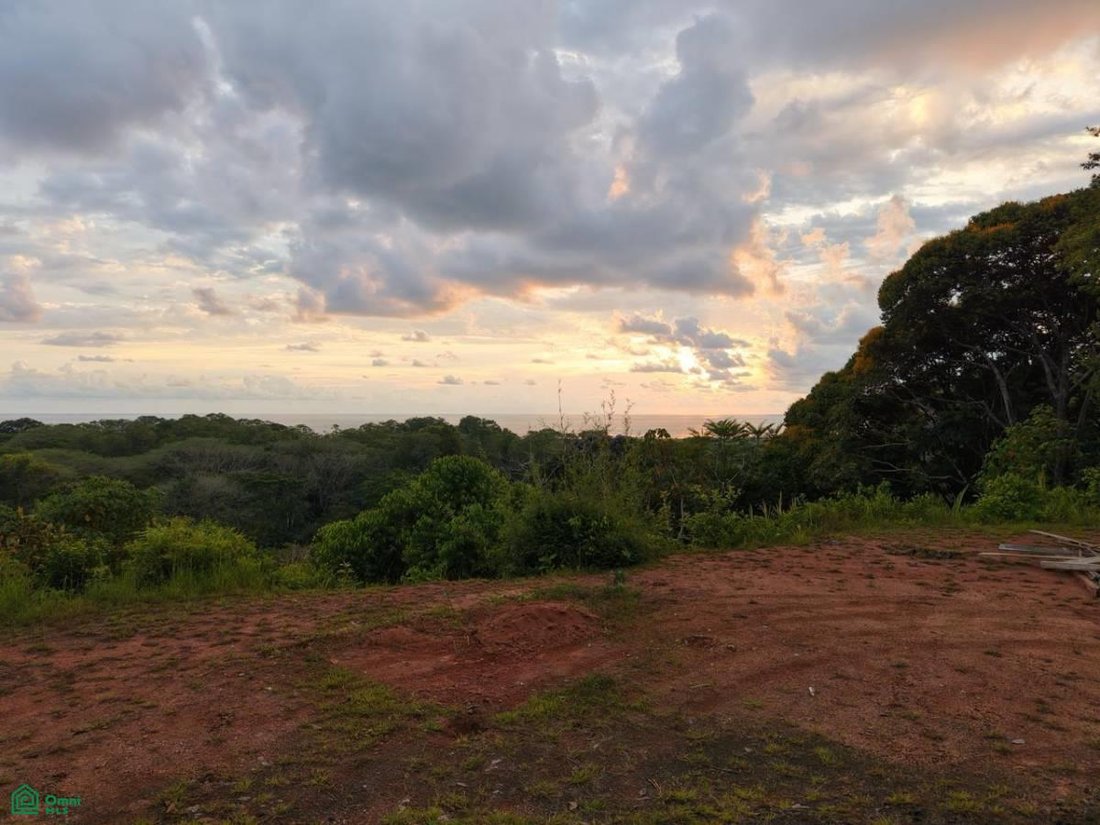 Haus in Chacara, Provinz Puntarenas, Costa Rica 4 - 17765147