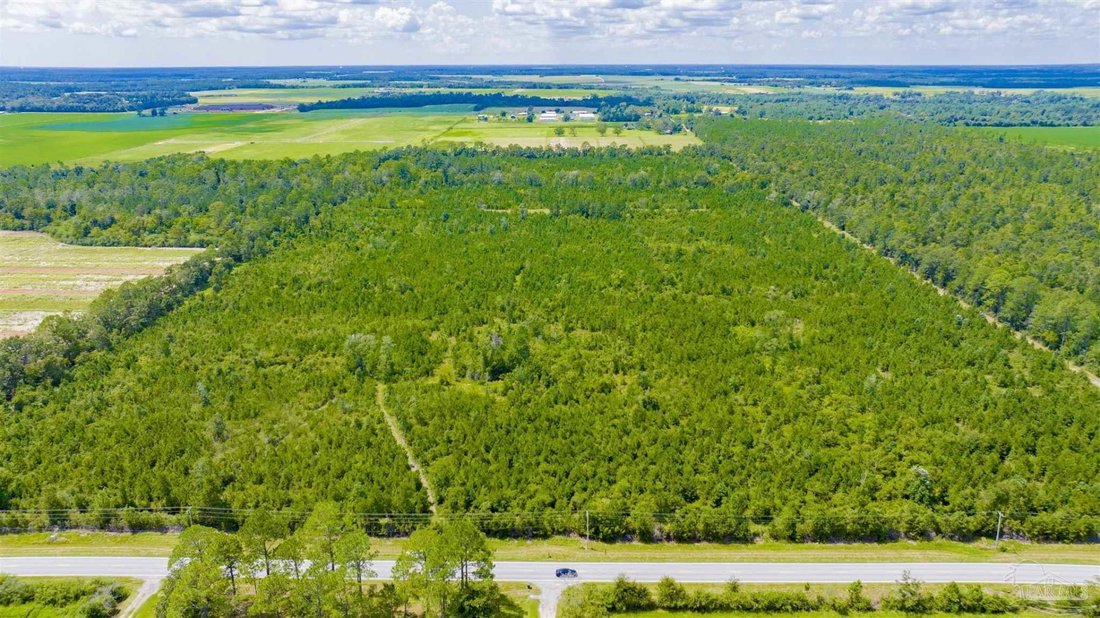 Terreno en Elberta, Alabama, Estados Unidos 3 - 18868246