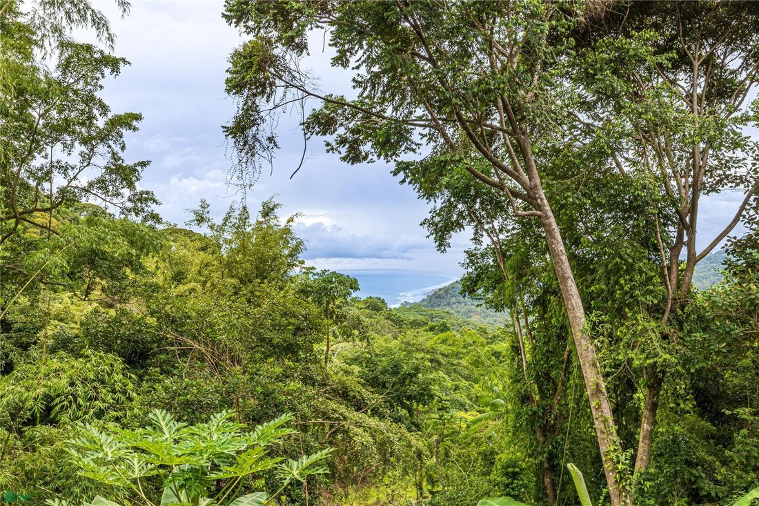 House in Dominicalito, Puntarenas Province, Costa Rica 2 - 18864794