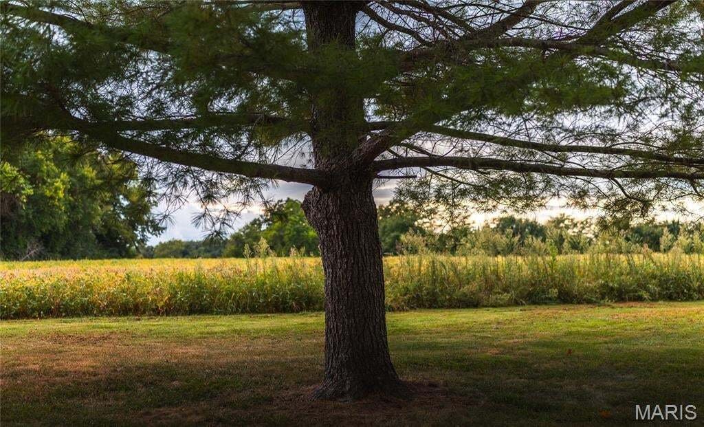 House in Jerseyville, Illinois, United States 4 - 18865114