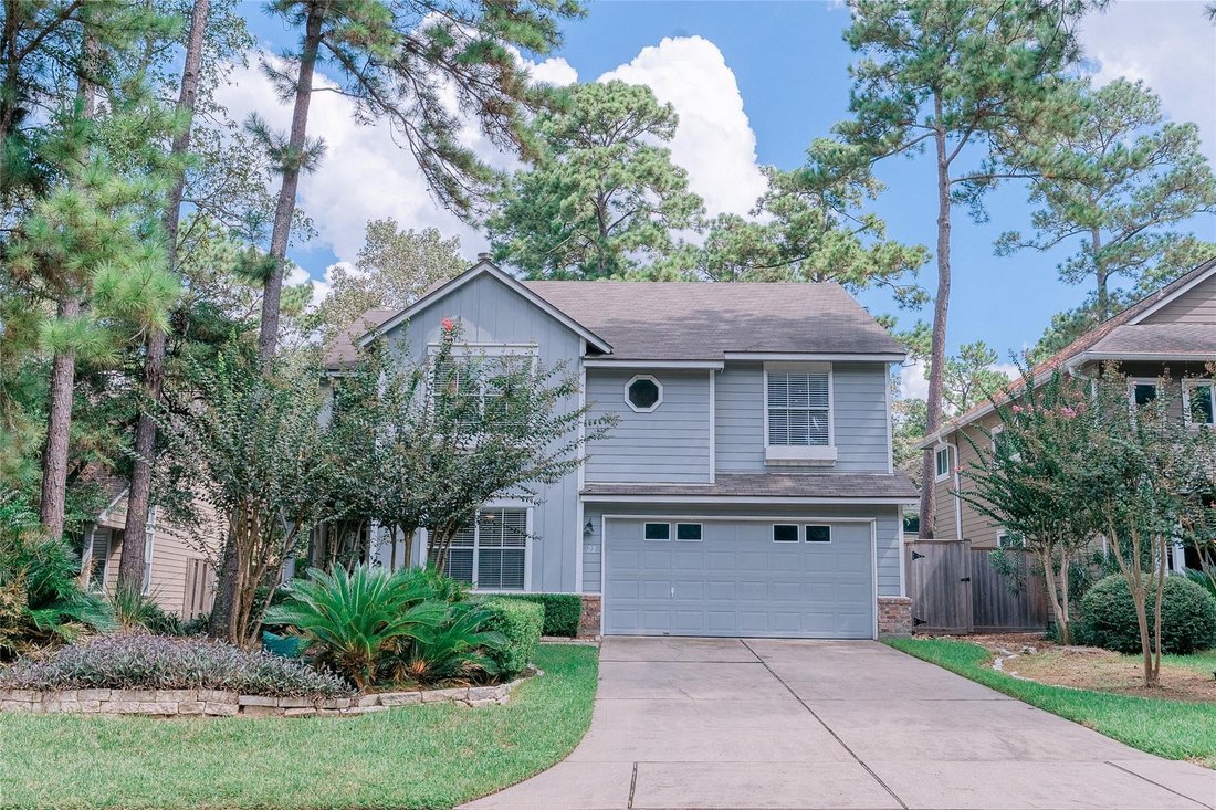 House in The Woodlands, Texas, United States 2 - 18866787