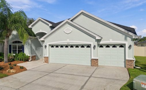 House in Land O' Lakes, Florida, United States 1