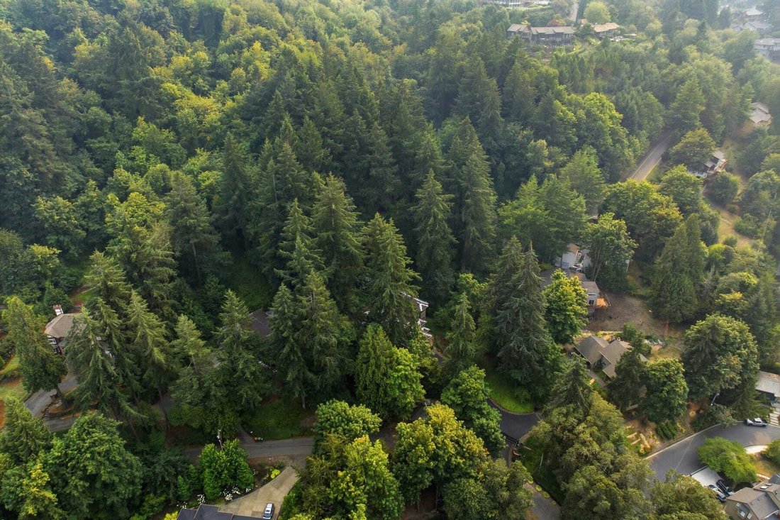 Maison à Lake Oswego, Oregon, États-Unis 2 - 18864716
