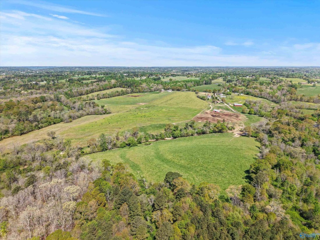 House in Horton, Alabama, United States 3 - 17681618