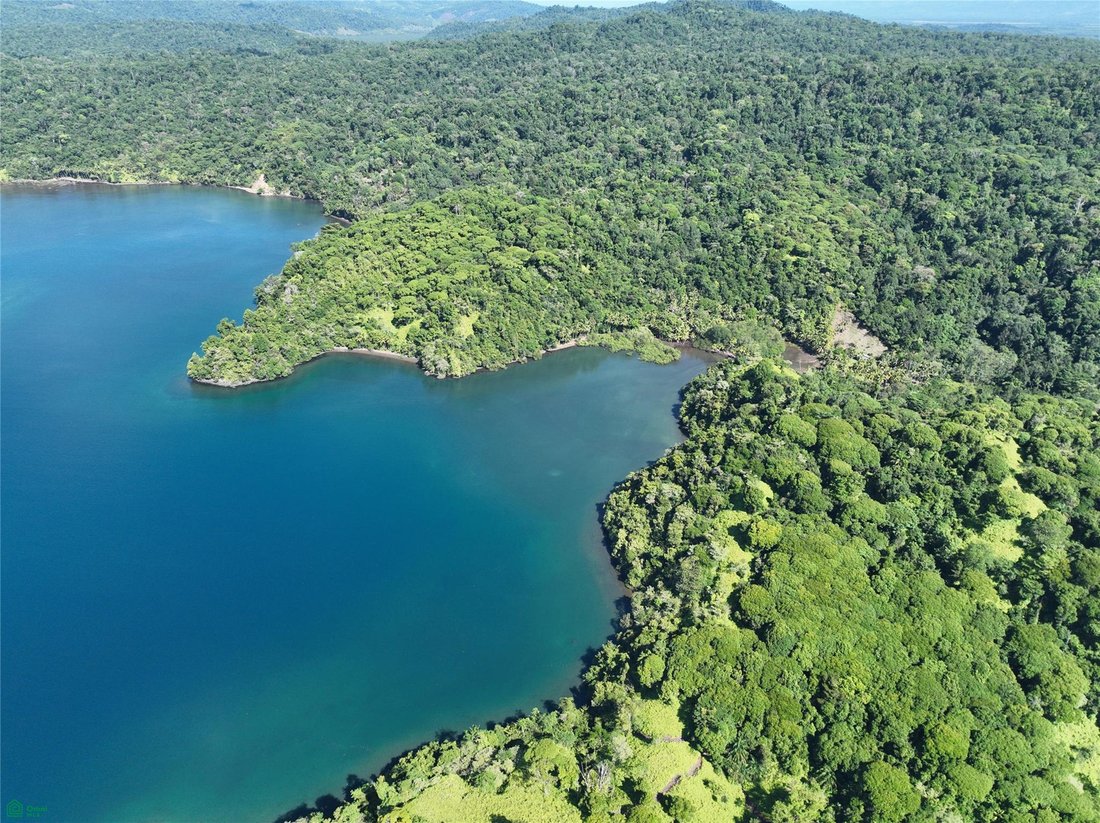 Land in Mogos, Puntarenas Province, Costa Rica 2 - 18717801