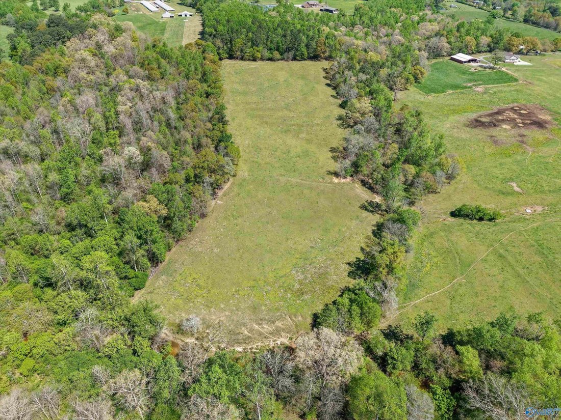 Rancho en Horton, Alabama, Estados Unidos 2 - 18866245