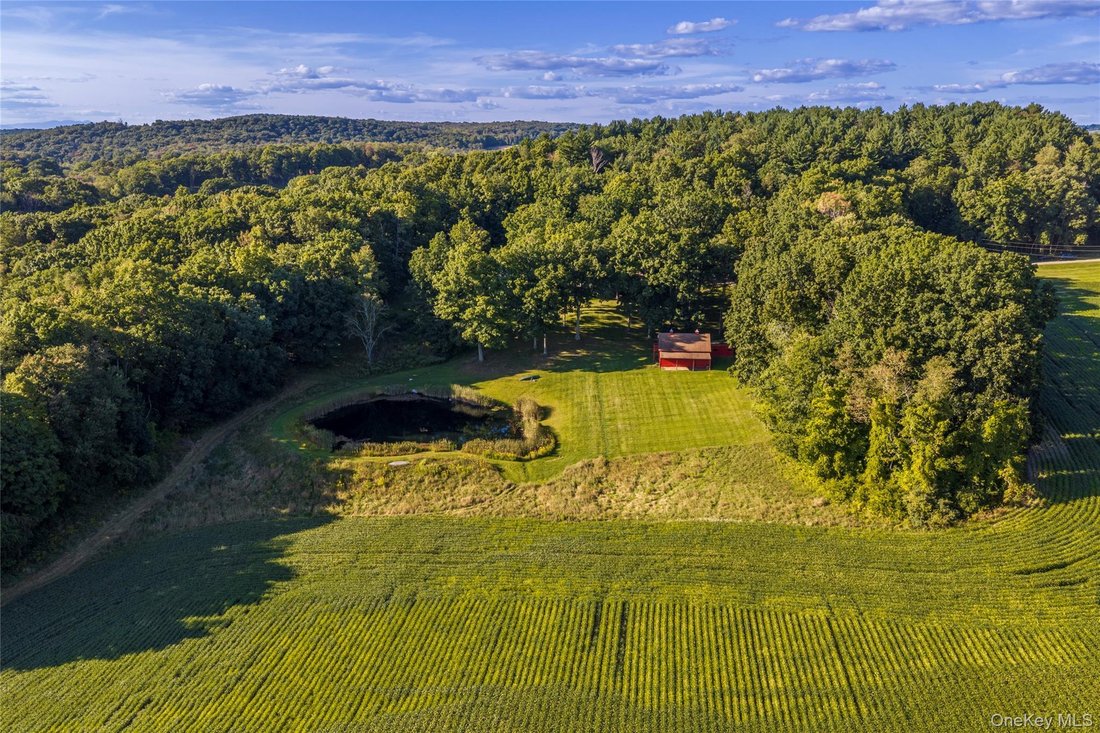 House in Millbrook, New York, United States 4 - 18865462