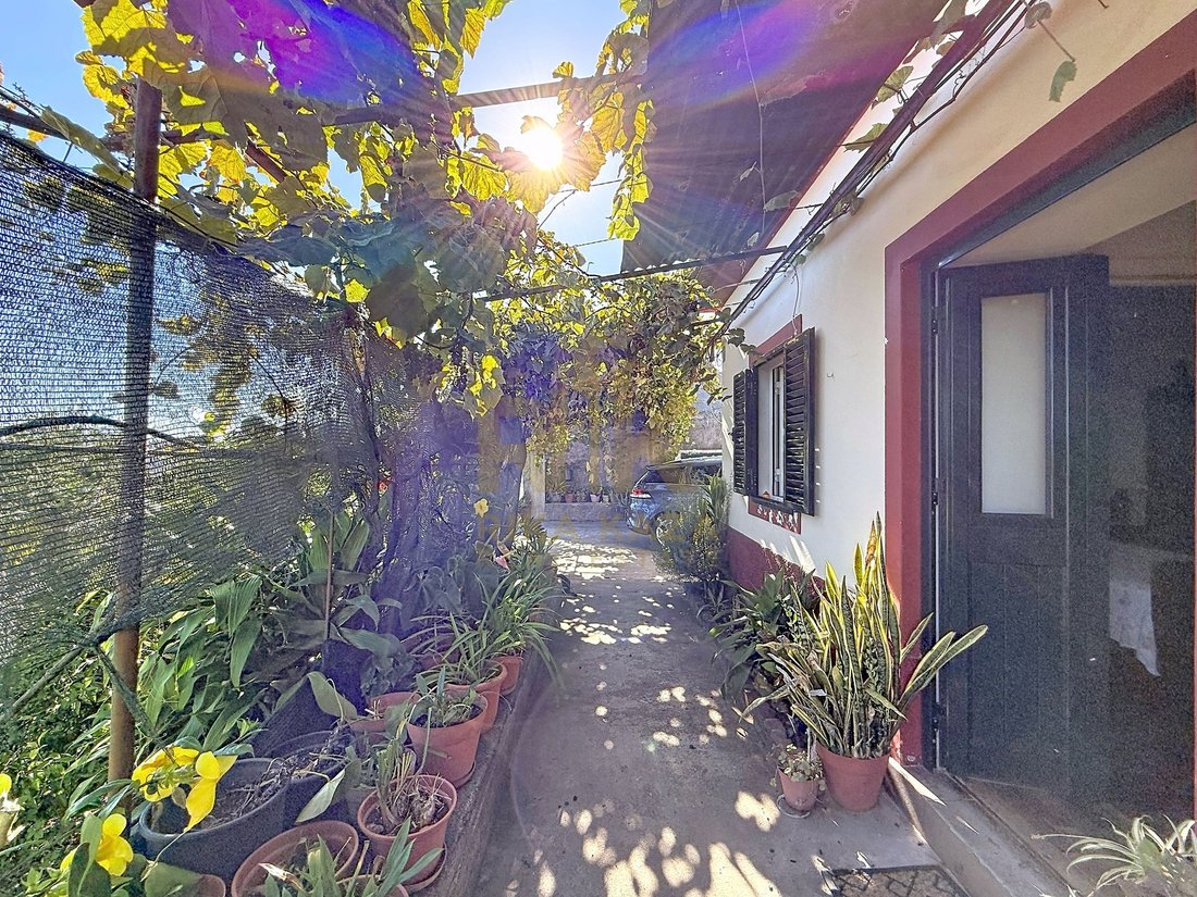 Villa in Santa Cruz, Madeira, Portugal 4 - 18867575