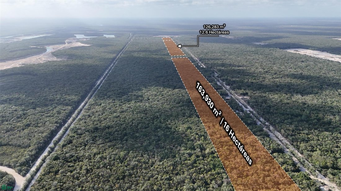Terrain à Playa del Carmen, Quintana Roo, Mexique 5 - 17804316