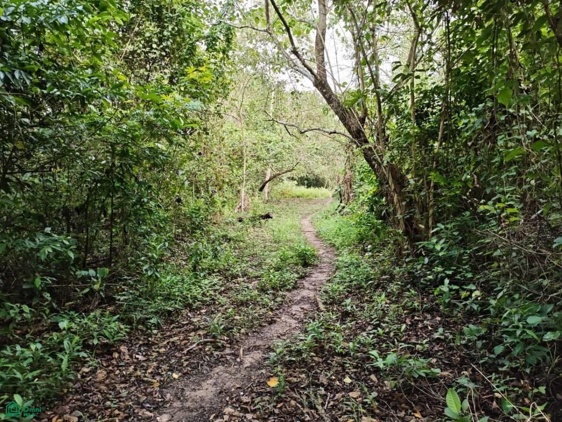 Land in Hermenegildo J. Aldana, Veracruz, Mexiko 5 - 18257242