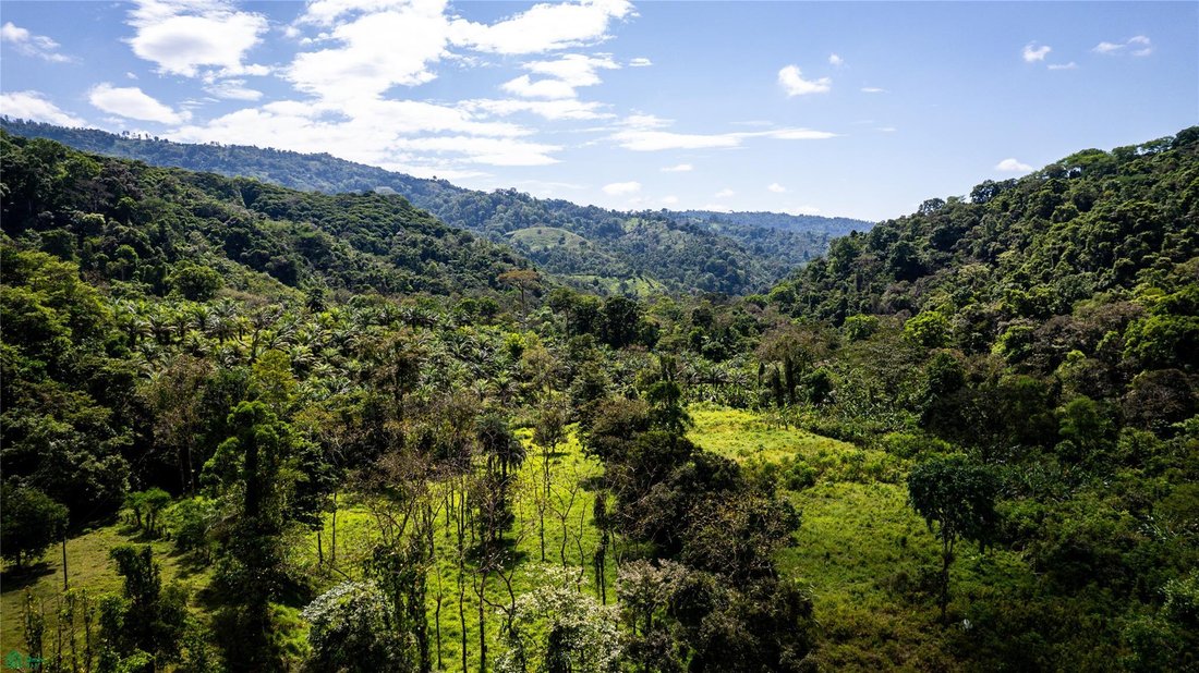 Land in Corredor, Costa Rica 2 - 18640015
