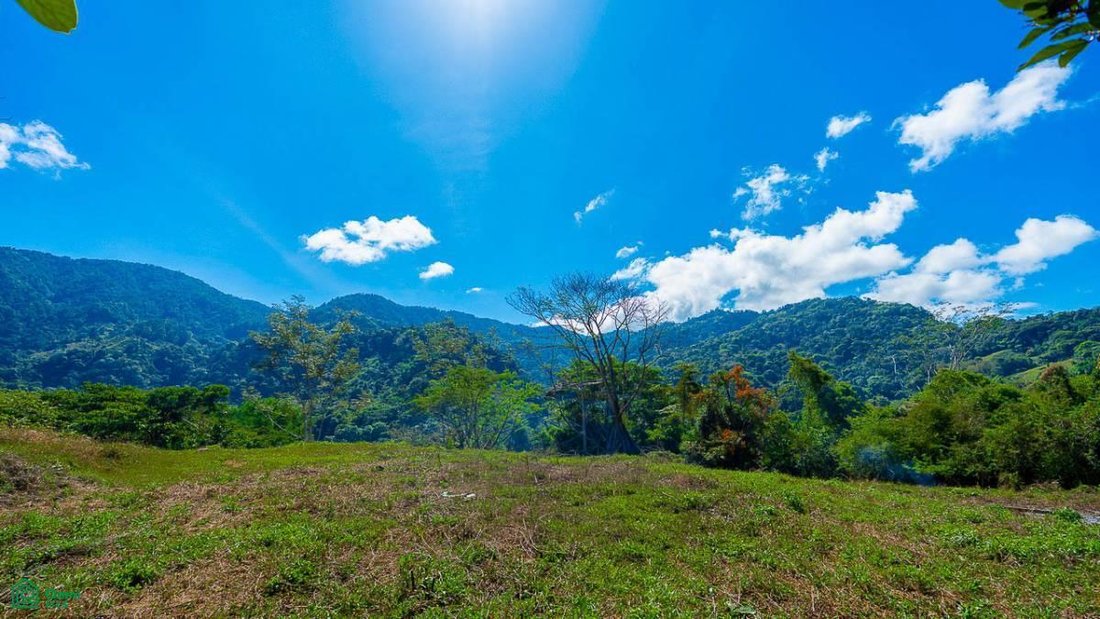 Land in Quebrada, Puntarenas Province, Costa Rica 1 - 18592230