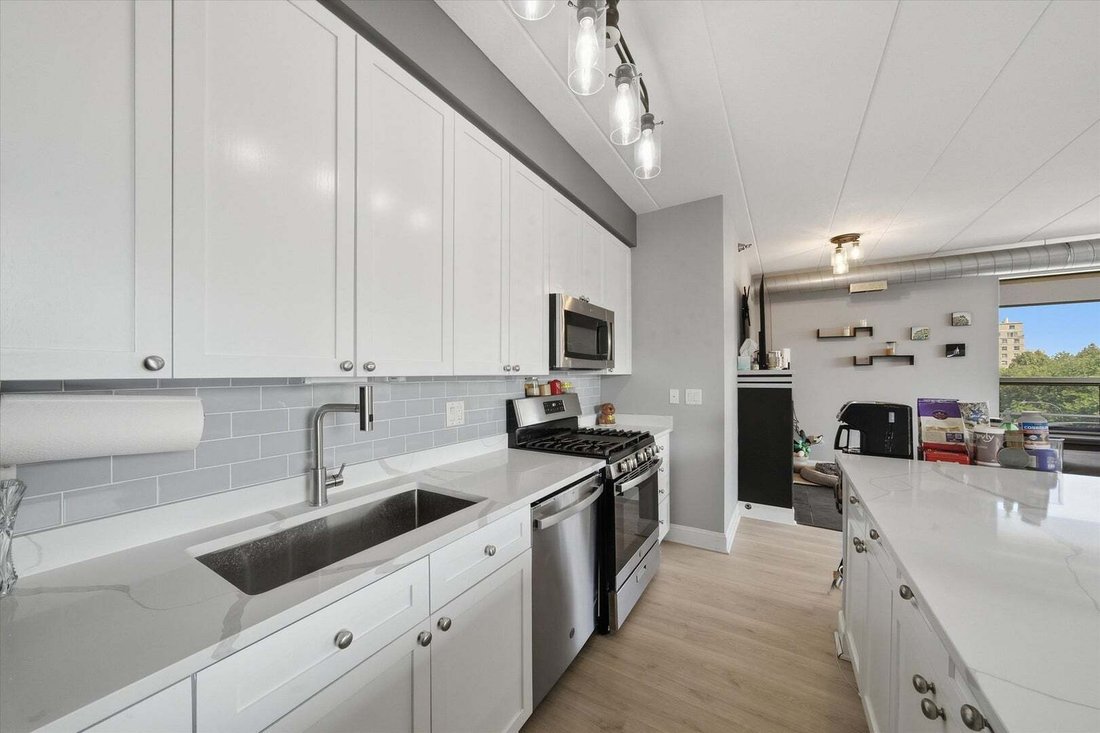 Condo in Chicago, Illinois, United States 5 - 18866736